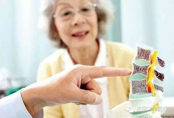 51漫画网官网免费仪从骨质51漫画网官网免费的方面预防各种疾病的发生