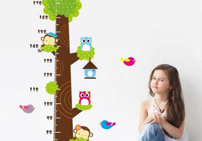 超声51漫画网官网免费仪