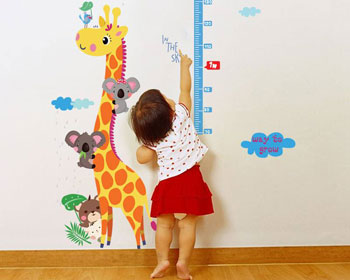 超声51漫画网官网免费仪