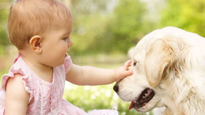 51漫画网官网免费仪