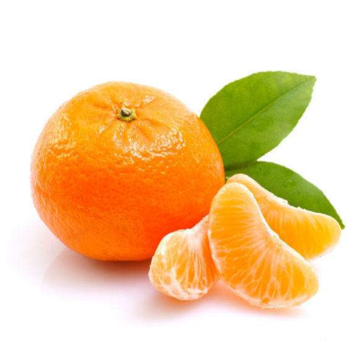 51漫画网官网免费仪