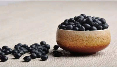 51漫画网官网免费仪