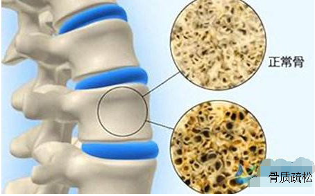 宝宝一岁半51漫画网官网免费正常值多少是正常？