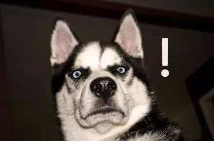 国产51漫画网官网免费品牌经得起质疑肉眼看不出来的通过专业测量51漫画网官网免费的仪器才能见真晓