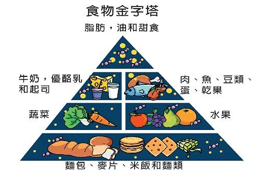 51漫画网官网免费仪介绍“我不要觉得,我要我觉得”骨质疏松必须这么检测