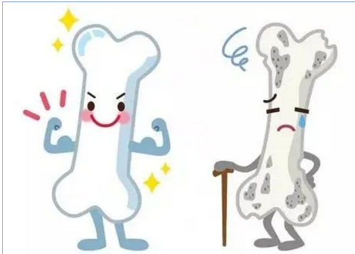 超声波51漫画网官网免费检测仪提前预知骨骼健康